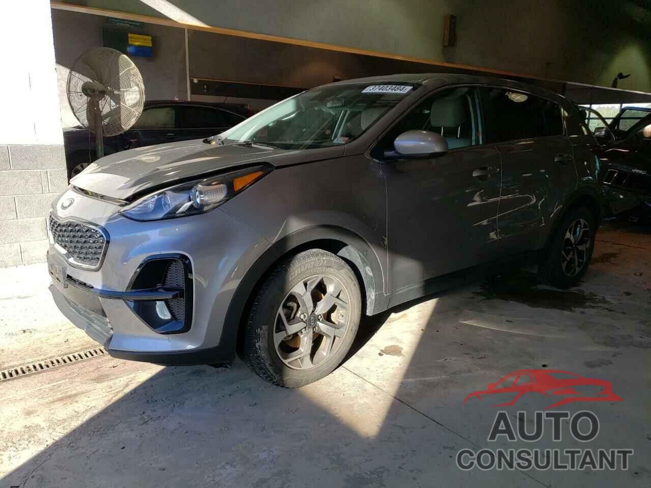 KIA SPORTAGE 2020 - KNDPM3AC5L7725618