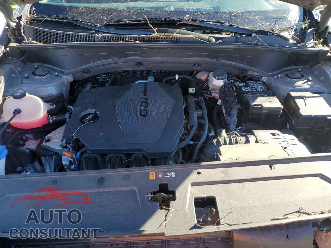 HYUNDAI SANTA FE 2023 - 5NMS14AJ5PH501576