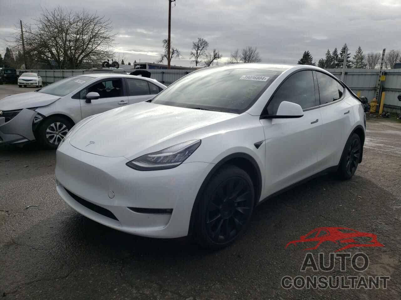 TESLA MODEL Y 2023 - 7SAYGDEE7PF591632
