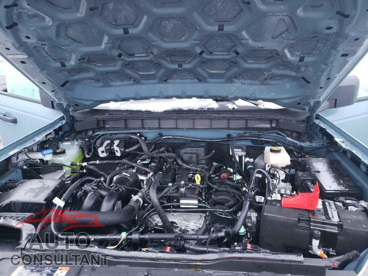 FORD BRONCO BAS 2021 - 1FMEE5DH3MLA79667