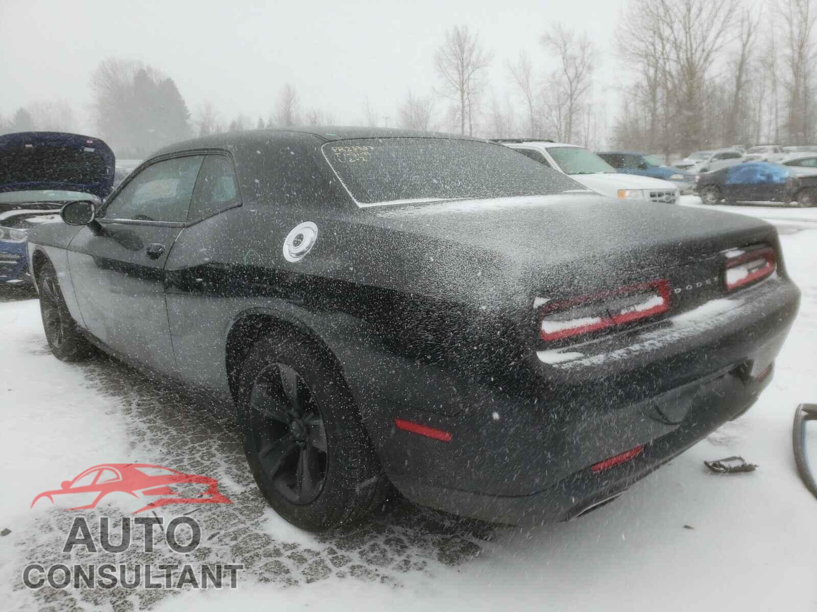 DODGE CHALLENGER 2016 - 2C3CDZAG4GH239949