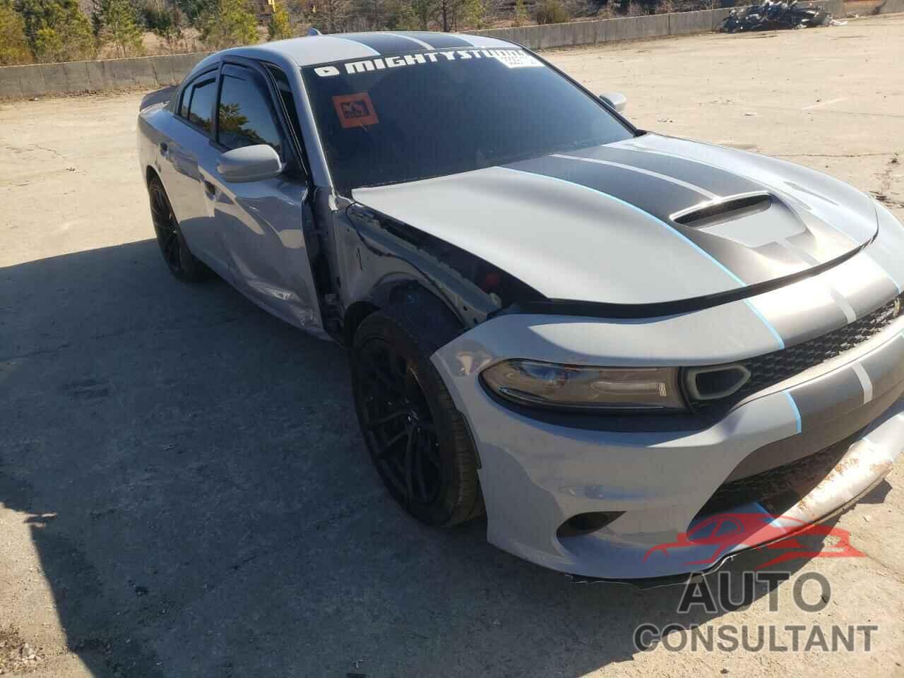 DODGE CHARGER 2020 - 2C3CDXGJ2LH216543