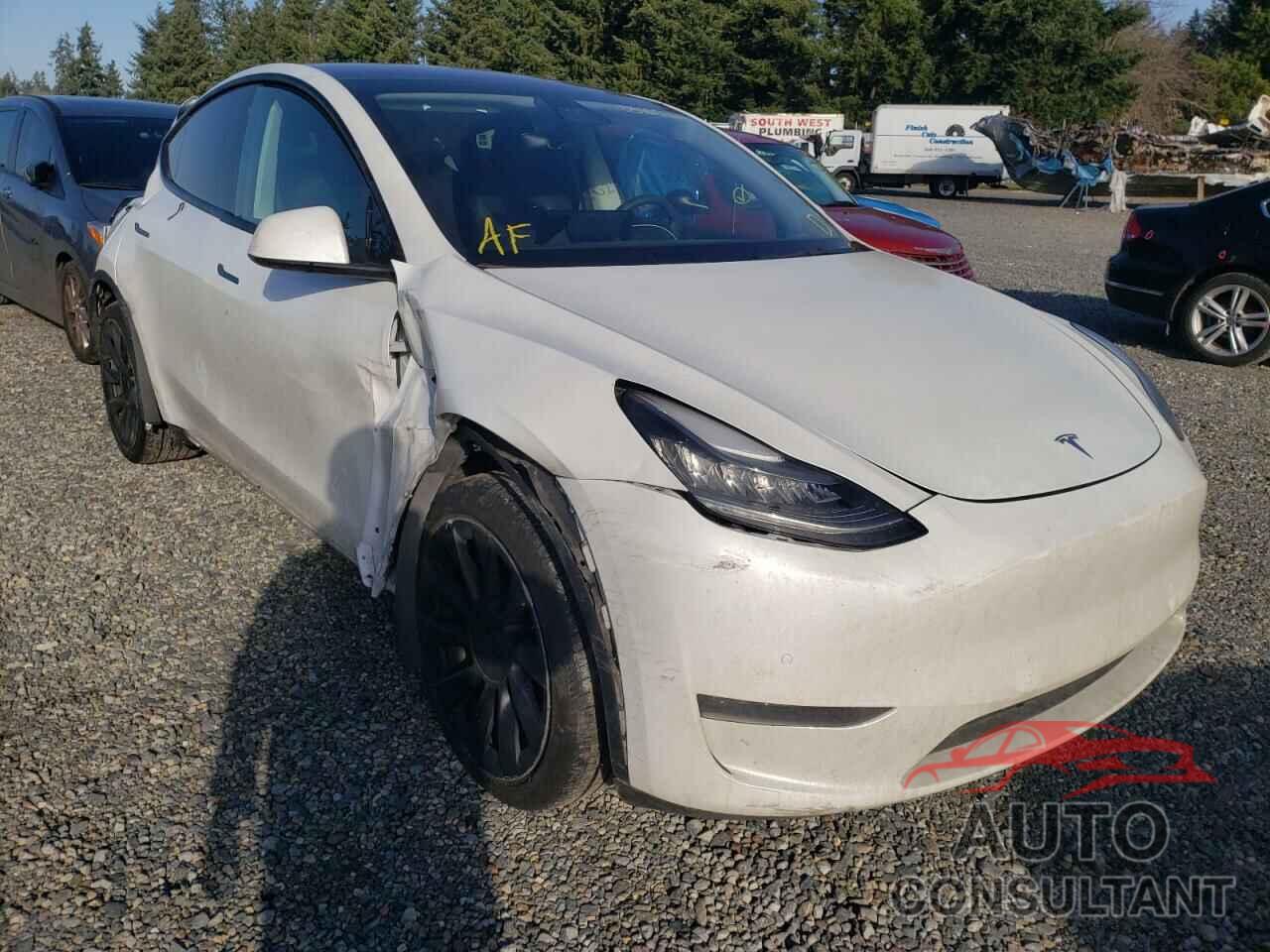 TESLA MODEL Y 2020 - 5YJYGDEE9LF029691