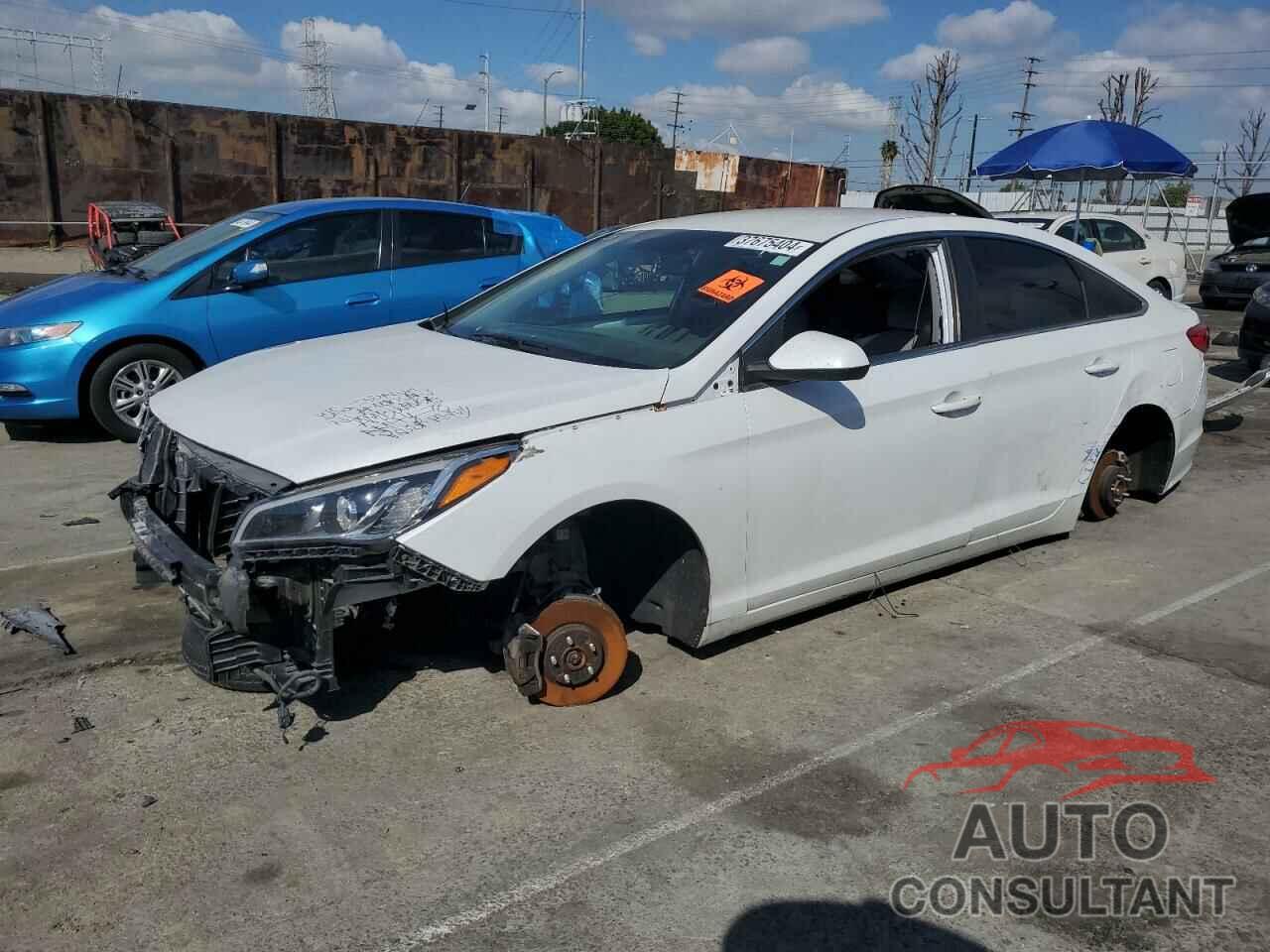 HYUNDAI SONATA 2017 - 5NPE24AF9HH493721