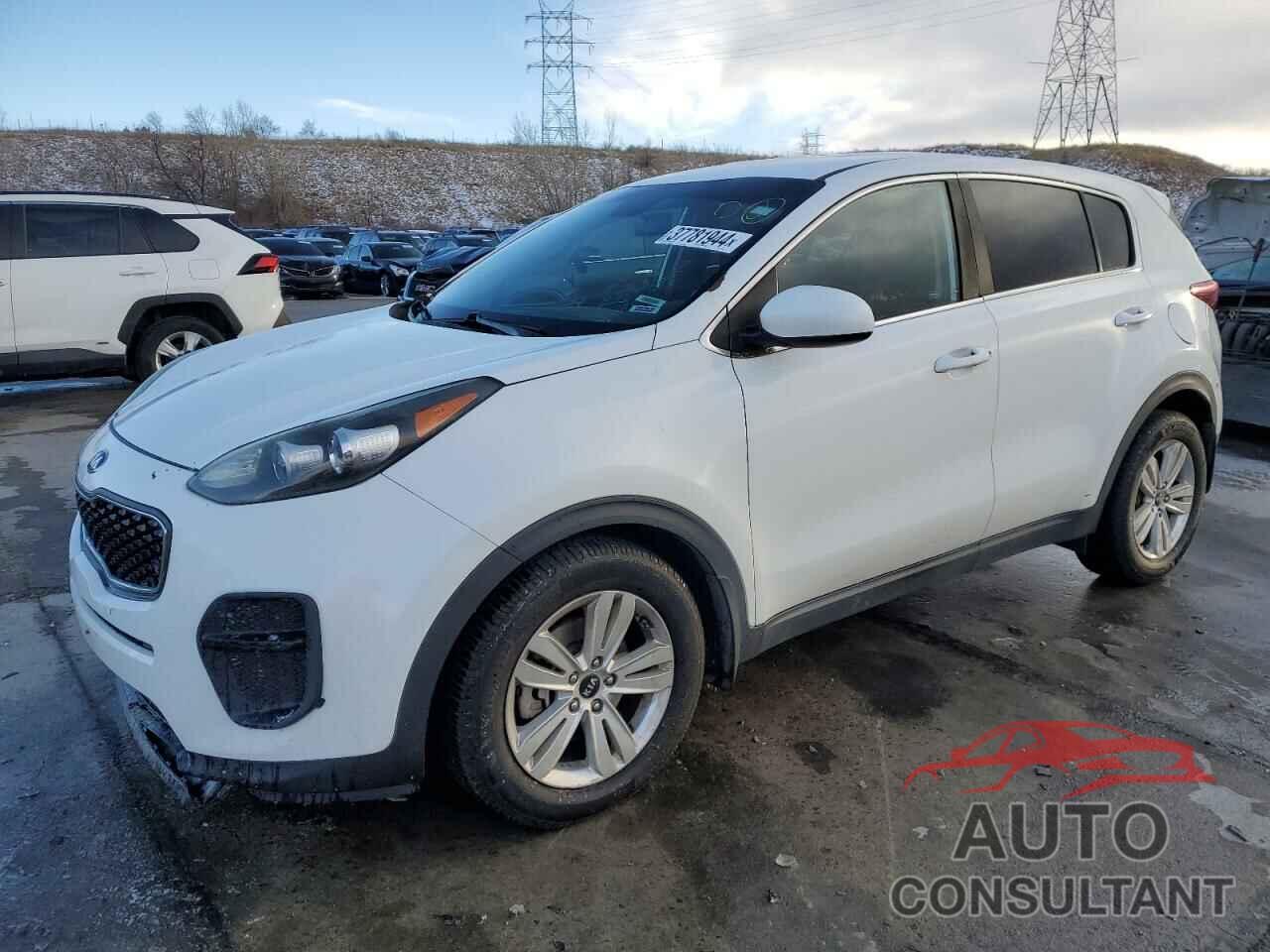 KIA SPORTAGE 2017 - KNDPM3AC8H7210166