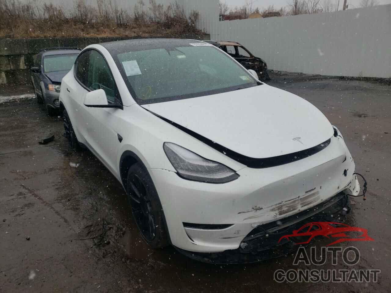 TESLA MODEL Y 2021 - 5YJYGAEE1MF148352