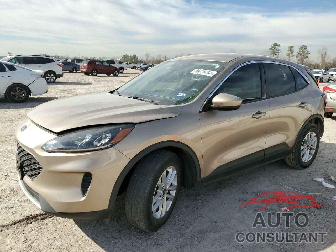 FORD ESCAPE 2020 - 1FMCU0G66LUC29447