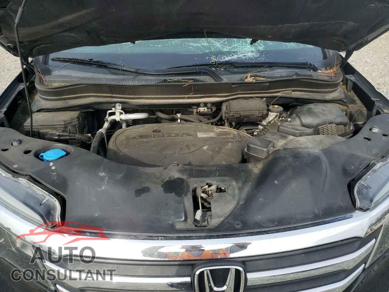 HONDA PILOT 2016 - 5FNYF5H5XGB026230