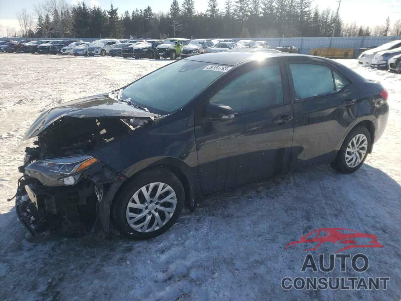 TOYOTA COROLLA 2019 - 2T1BURHEXKC164303