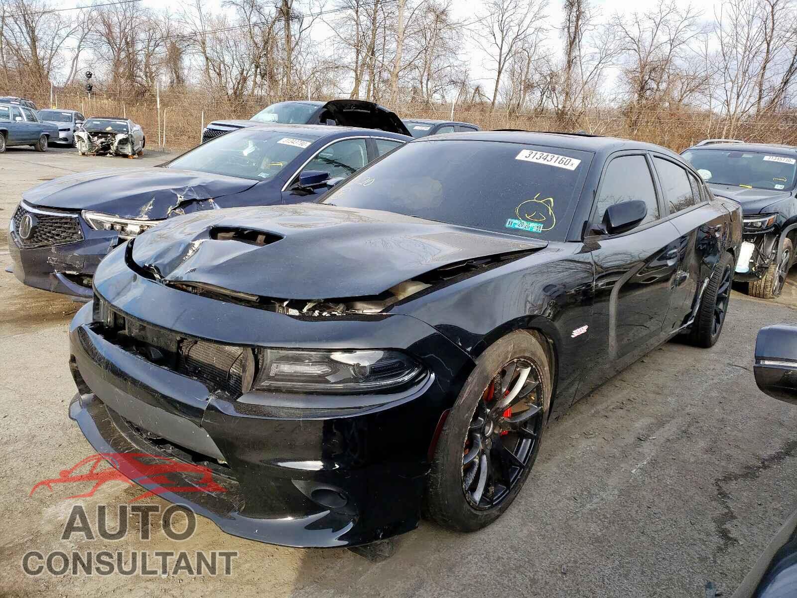 DODGE CHARGER 2019 - 2C3CDXGJ4KH519743
