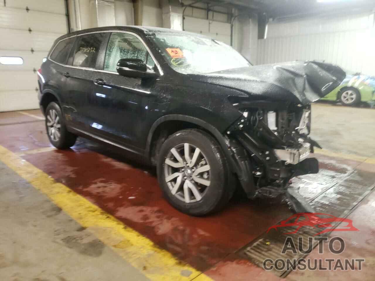 HONDA PILOT 2019 - 5FNYF6H51KB098089