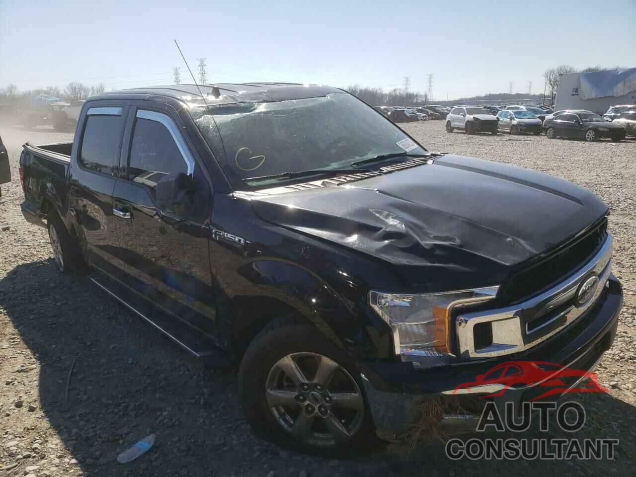 FORD F-150 2019 - 1FTEW1CB2KFB21135