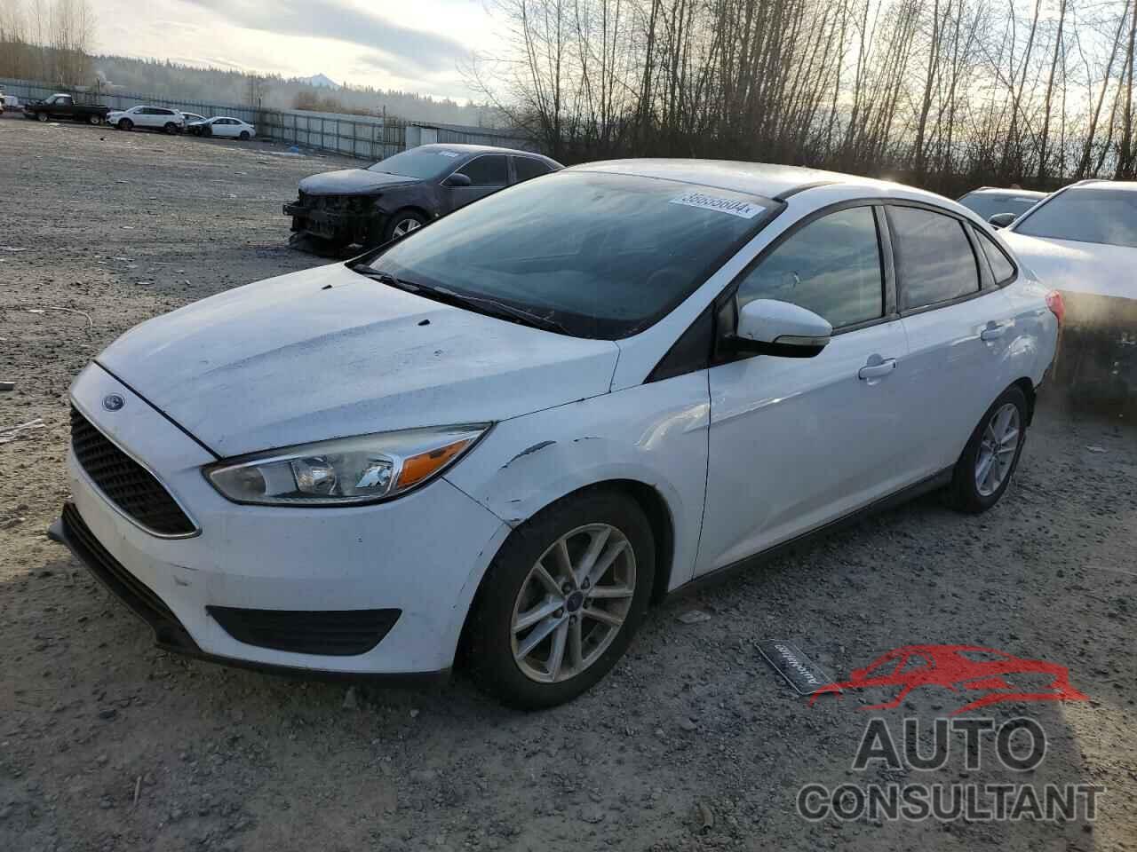 FORD FOCUS 2016 - 1FADP3F29GL246647