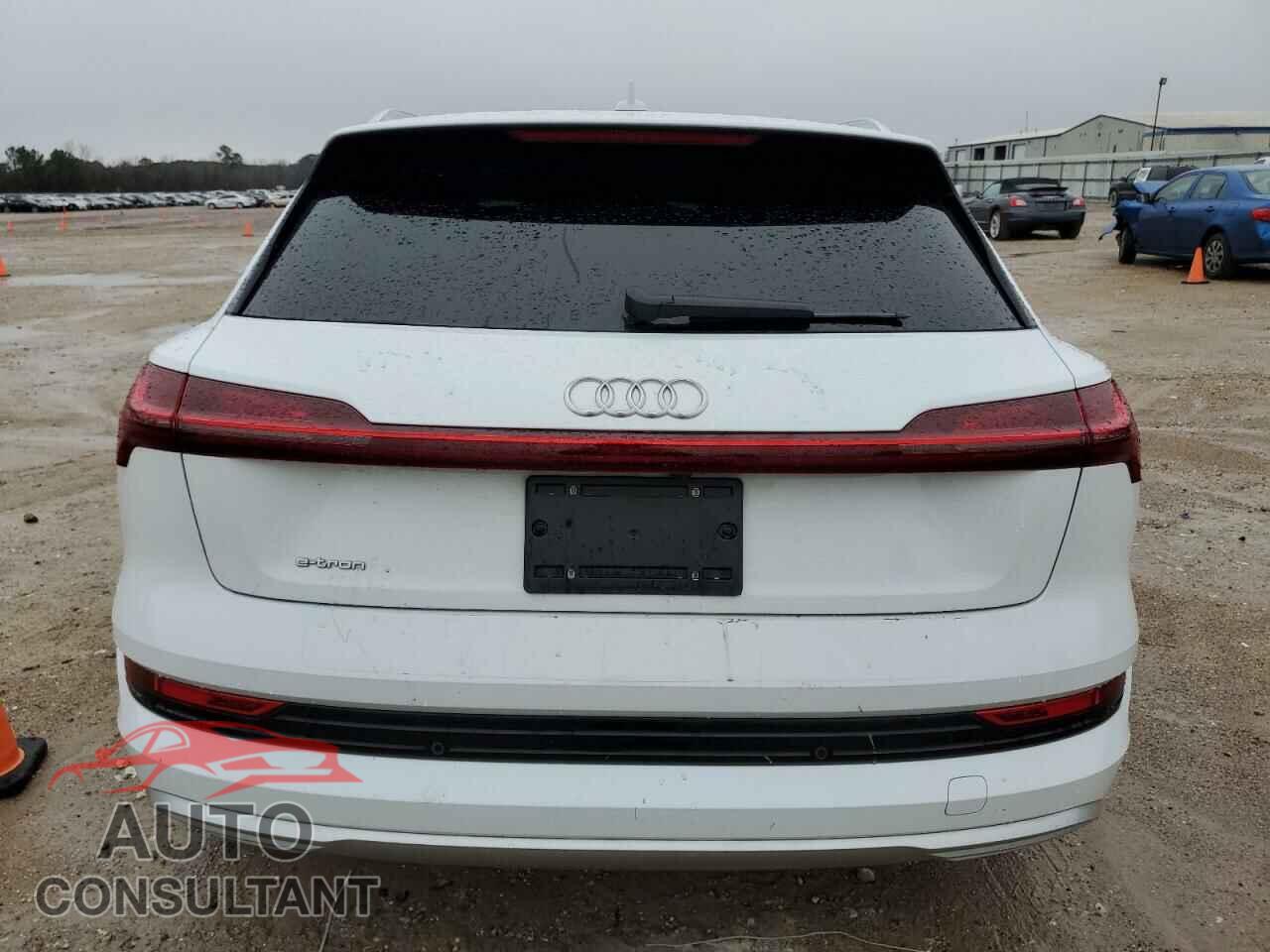 AUDI E-TRON 2019 - WA1VAAGE7KB024839