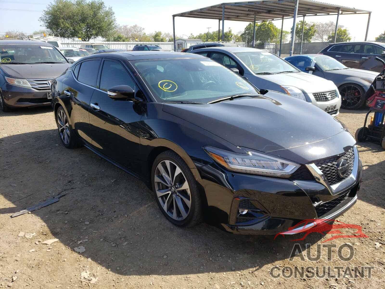 NISSAN MAXIMA 2019 - 1N4AA6AV1KC365308