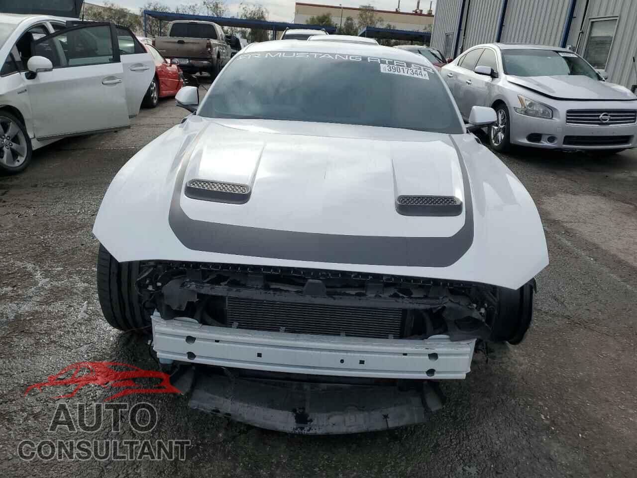 FORD MUSTANG 2019 - 1FA6P8CF3K5196628