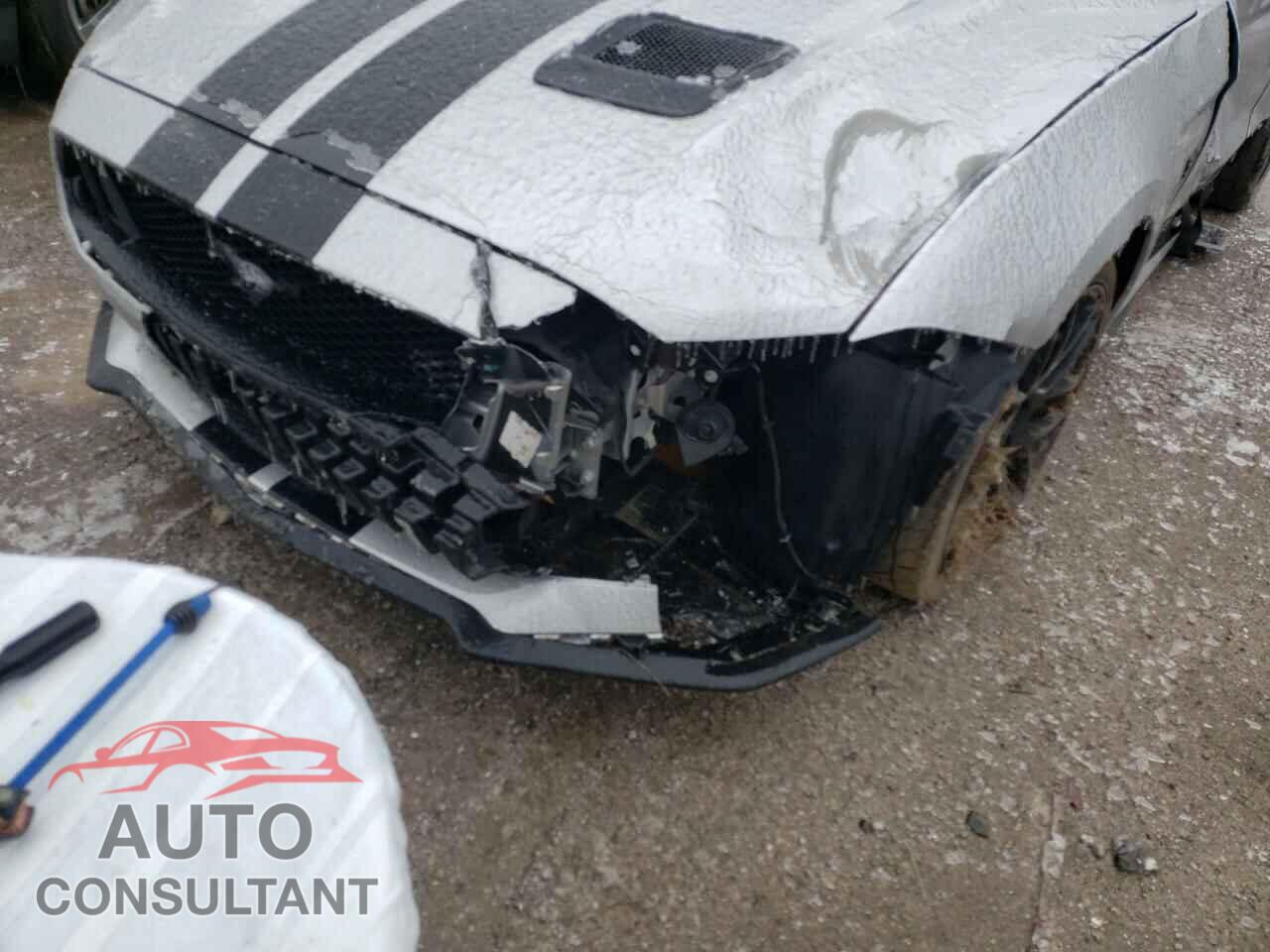FORD MUSTANG 2019 - 1FA6P8CFXK5116242