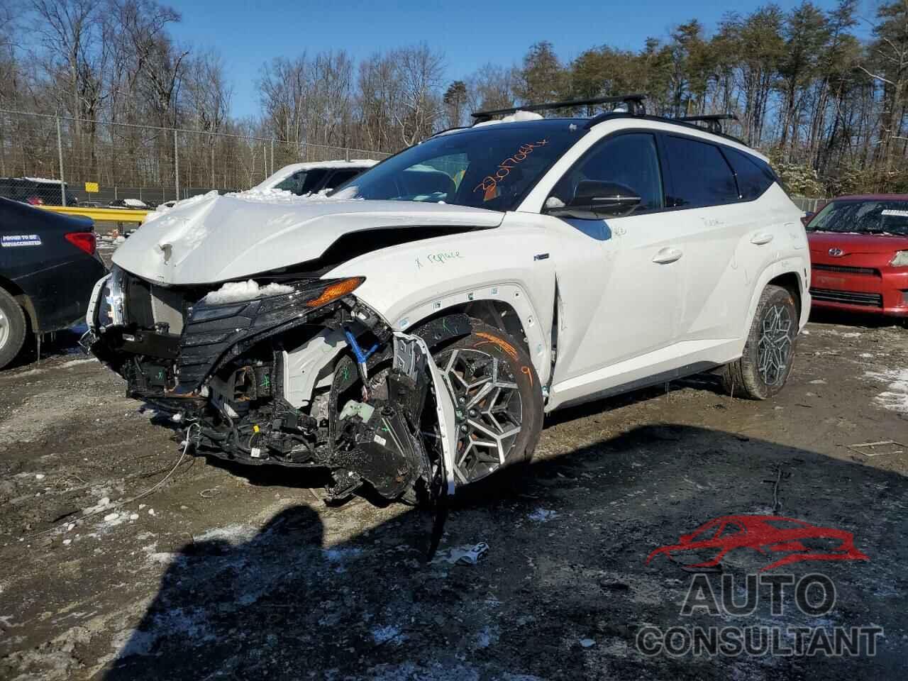 HYUNDAI TUCSON 2024 - KM8JFCD16RU147612