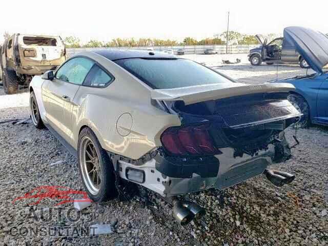 FORD MUSTANG 2019 - 1FA6P8TH6K5141916