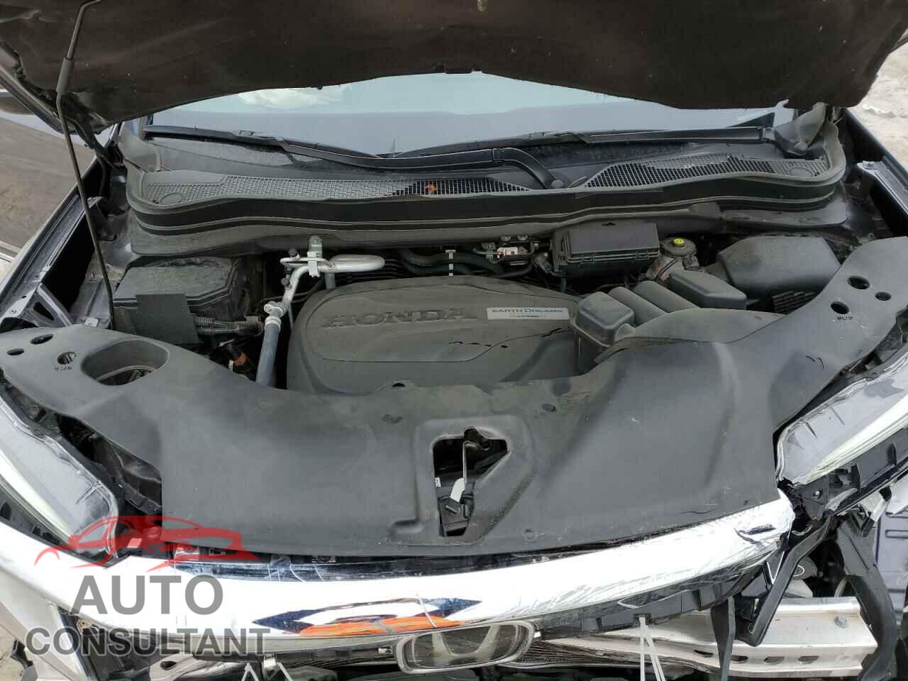 HONDA PILOT 2019 - 5FNYF6H64KB099228