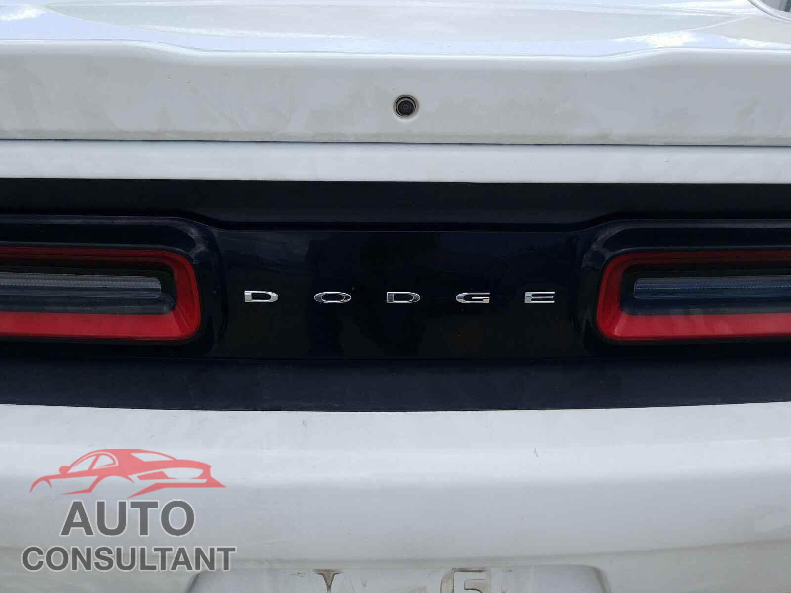 DODGE CHALLENGER 2019 - 2C3CDZBT1KH705194
