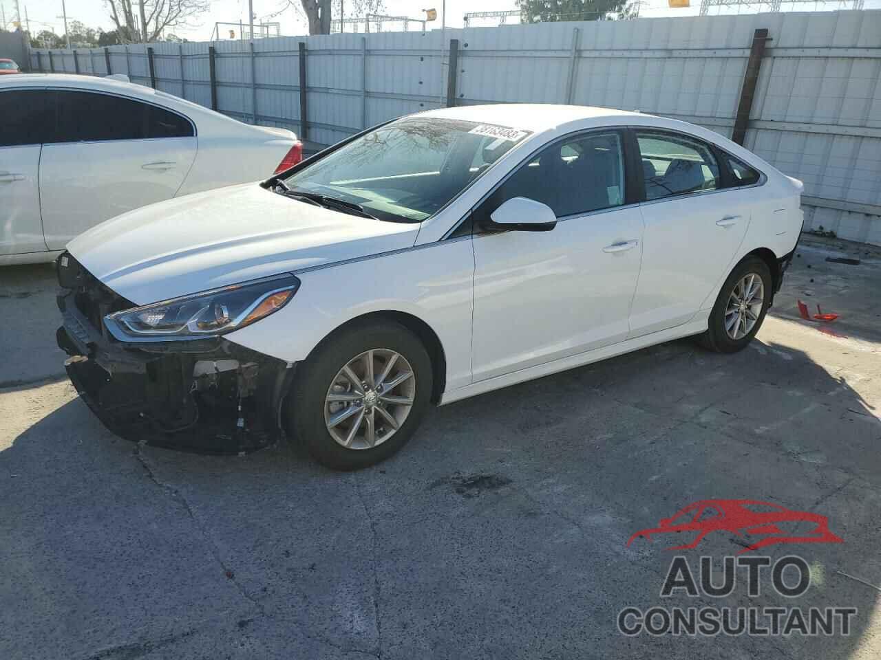 HYUNDAI SONATA 2019 - 5NPE24AFXKH763062