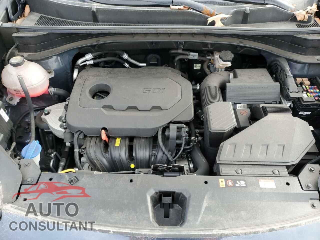 KIA SPORTAGE 2021 - KNDPMCAC9M7911079