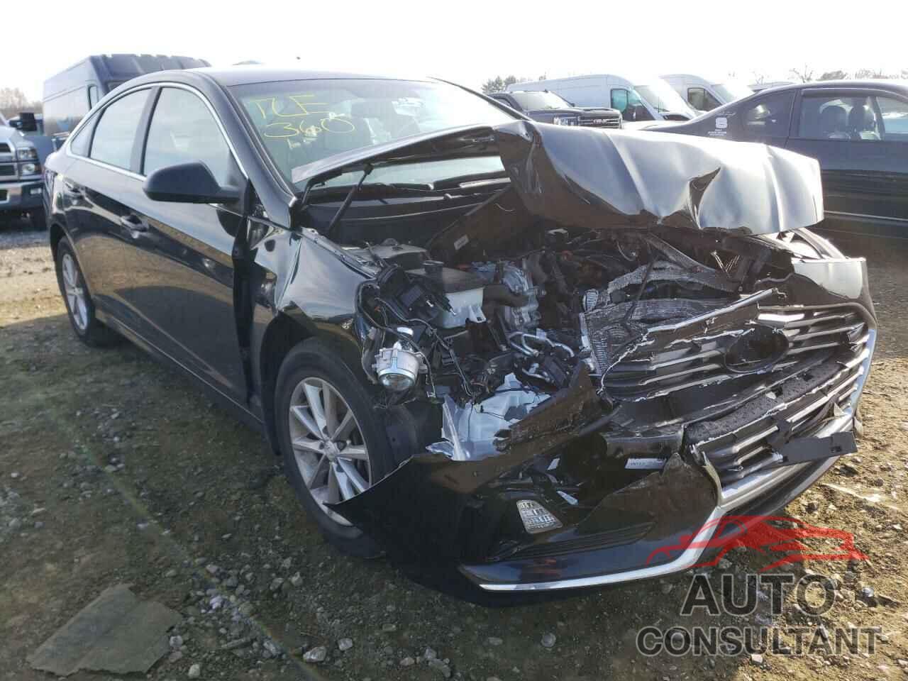 HYUNDAI SONATA 2019 - 5NPE24AF3KH728427