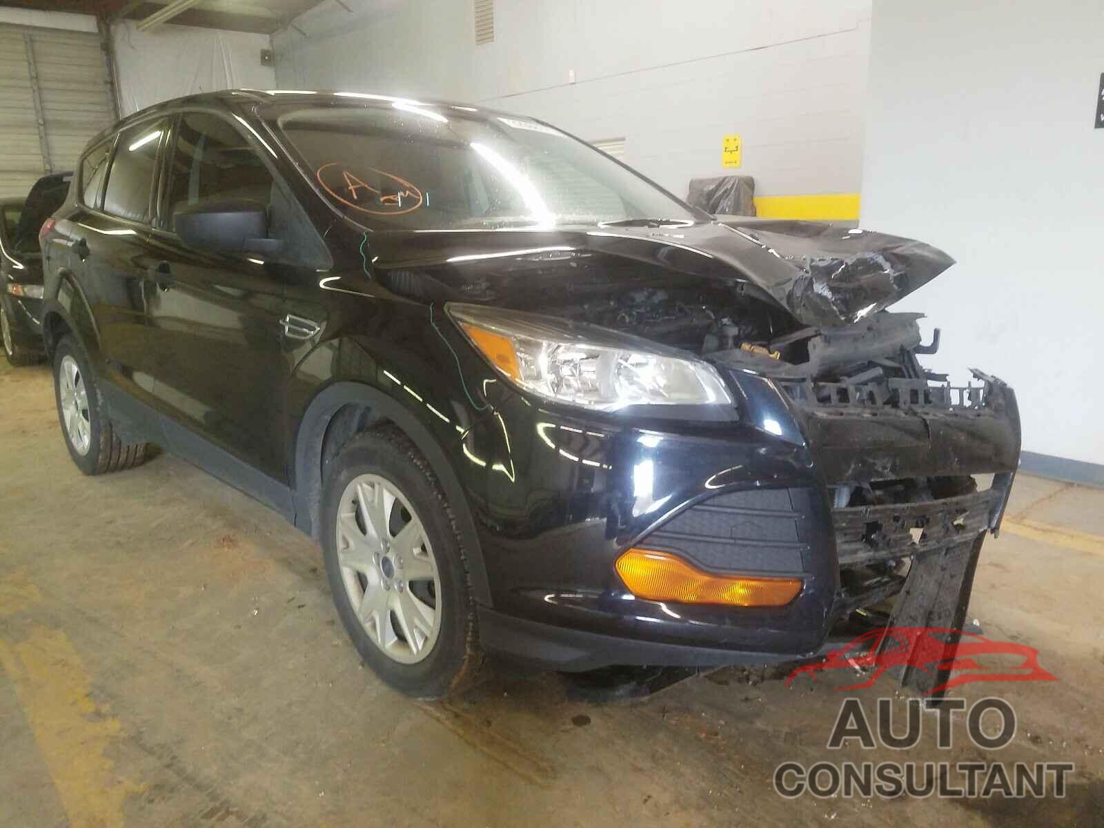 FORD ESCAPE 2016 - 3MVDMBBL8MM245381