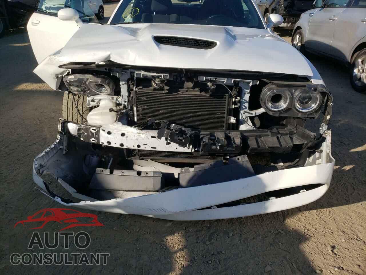 DODGE CHALLENGER 2019 - 2C3CDZBTXKH656240