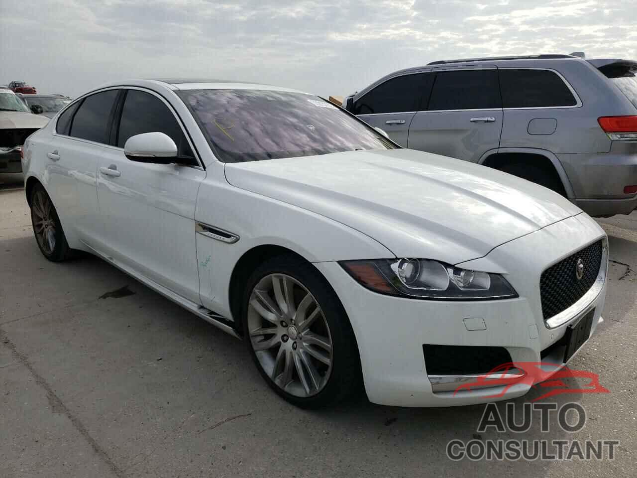 JAGUAR XF 2016 - SAJBE4BV5GCY02953