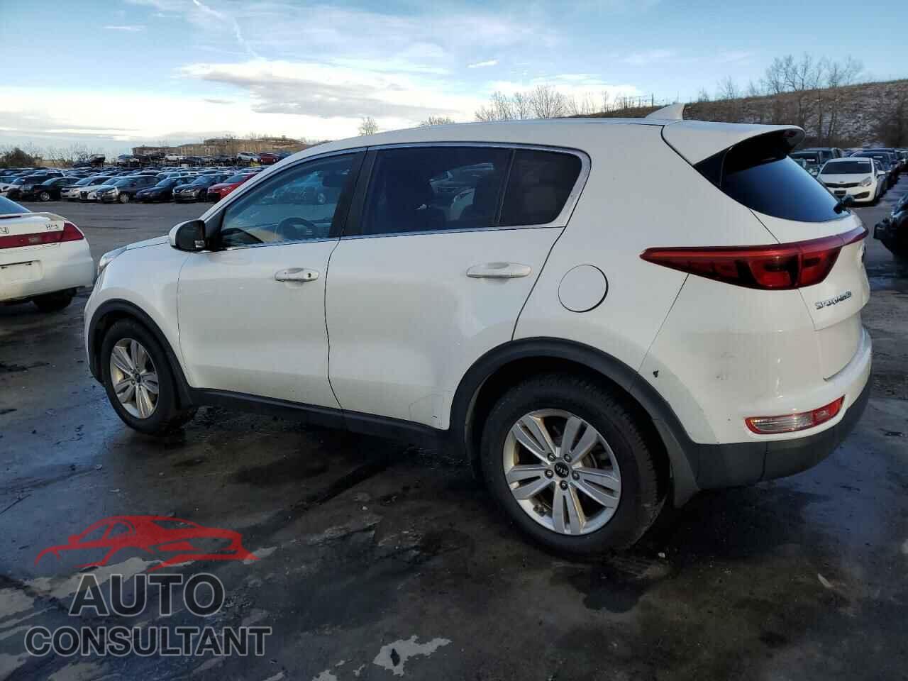 KIA SPORTAGE 2017 - KNDPM3AC8H7210166