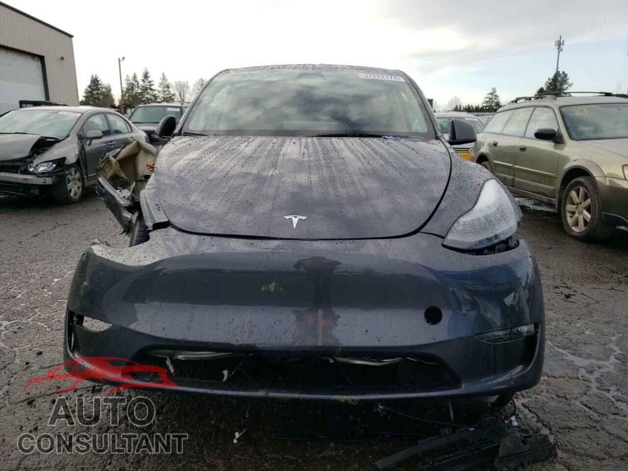 TESLA MODEL Y 2023 - 7SAYGDEE6PF886446