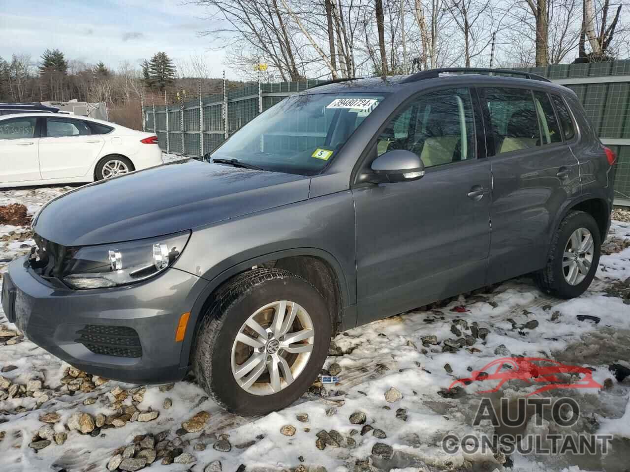 VOLKSWAGEN TIGUAN 2016 - WVGBV7AX5GW593632