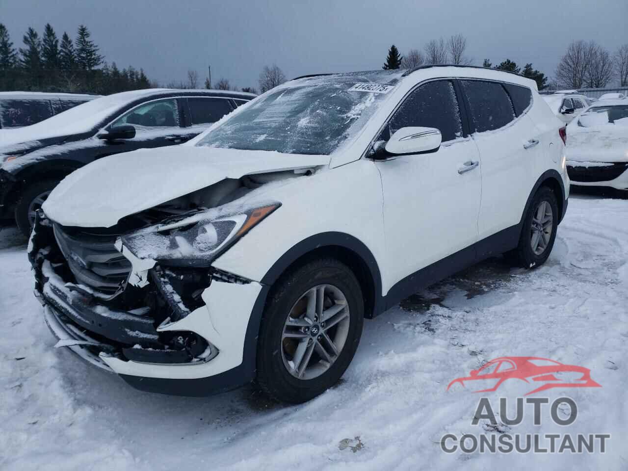 HYUNDAI SANTA FE 2017 - 5XYZUDLB5HG465105