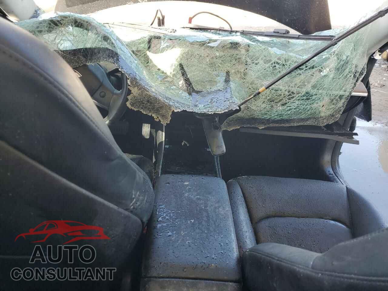 TESLA MODEL 3 2019 - 5YJ3E1EA5KF298099