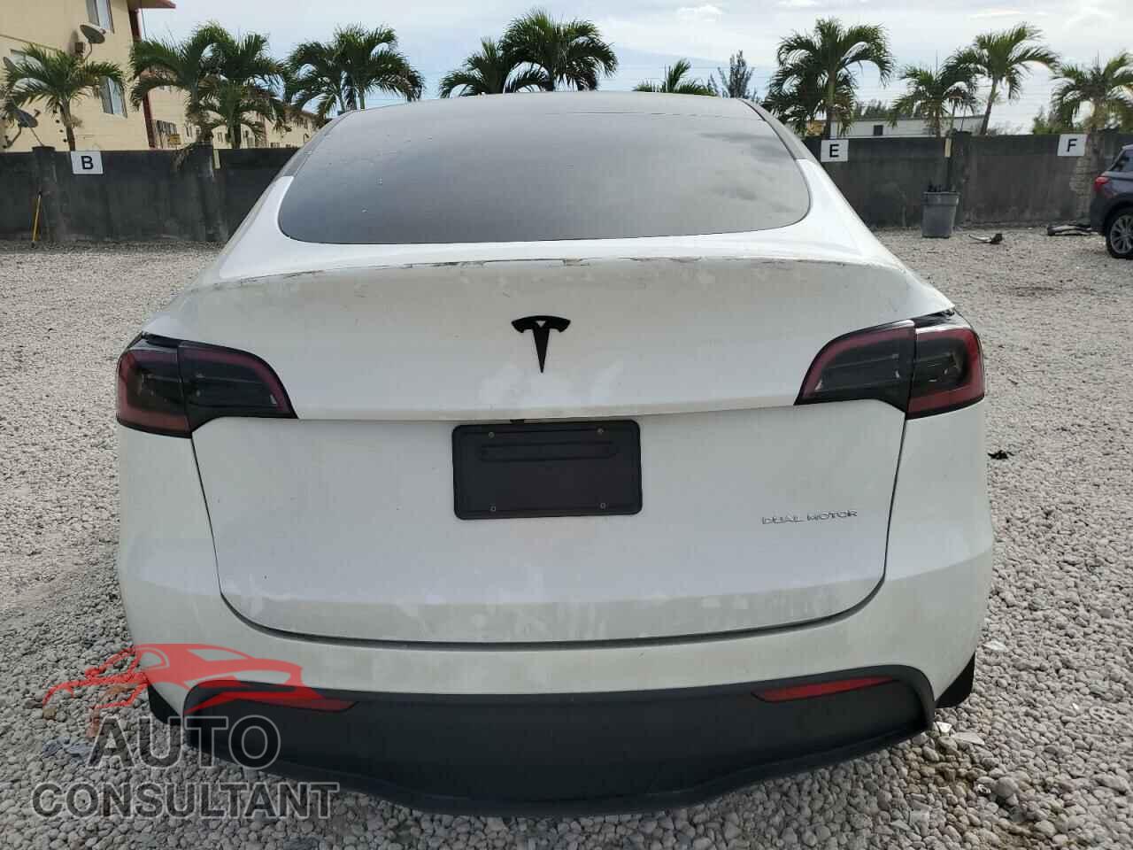 TESLA MODEL Y 2023 - 7SAYGDEEXPF788097