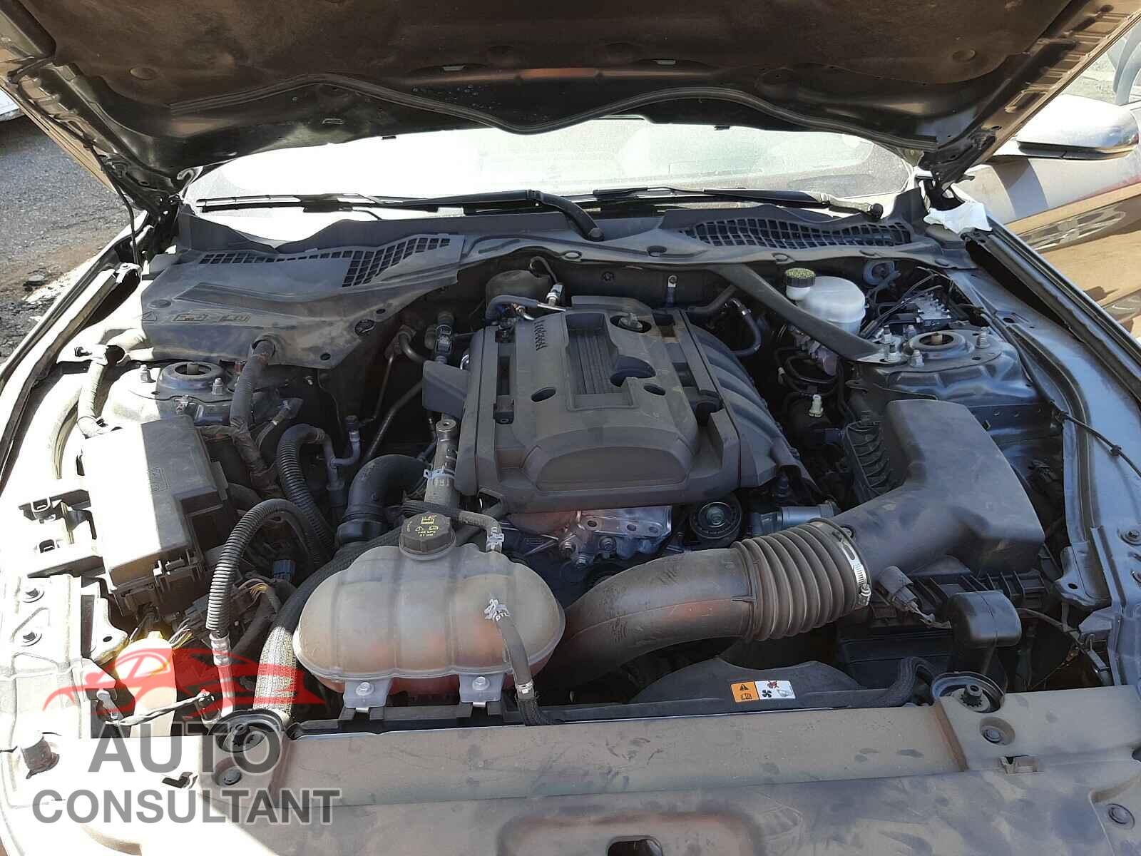 FORD MUSTANG 2017 - 1FA6P8TH0H5333809