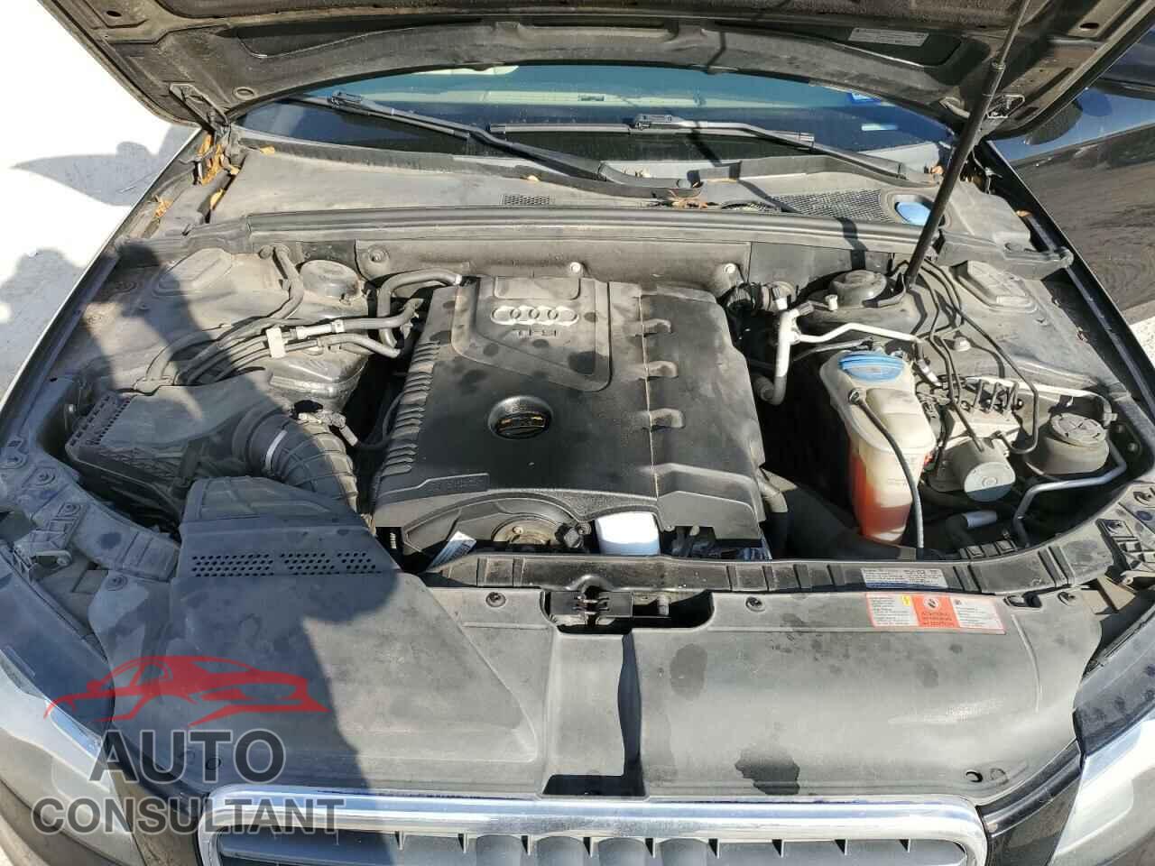AUDI A4 2010 - WAUFFAFL5AN043170