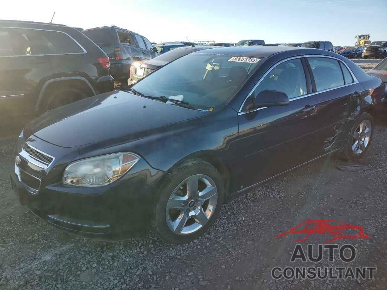 CHEVROLET MALIBU 2010 - 1G1ZC5EBXAF113077