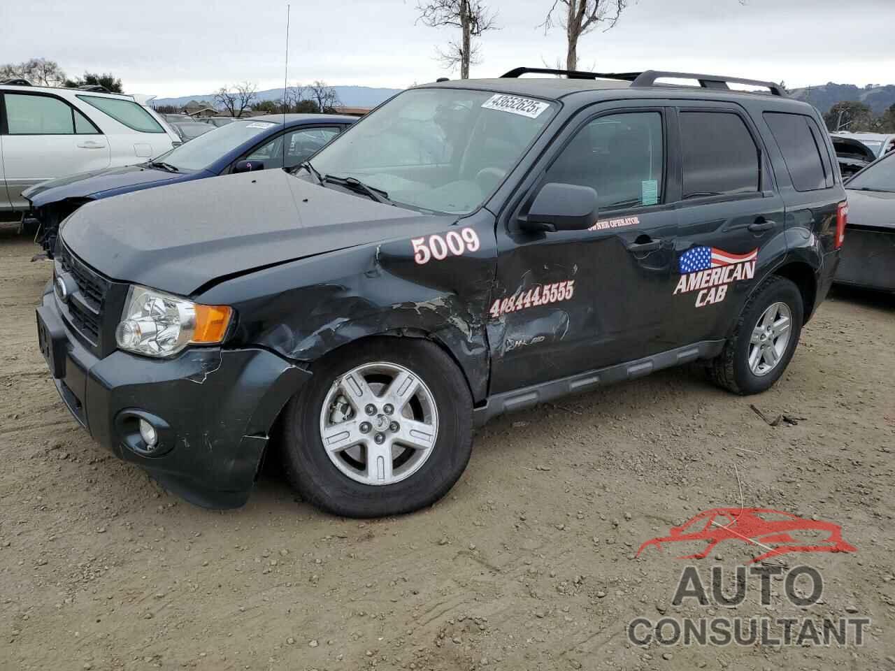 FORD ESCAPE 2009 - 1FMCU59319KB11522