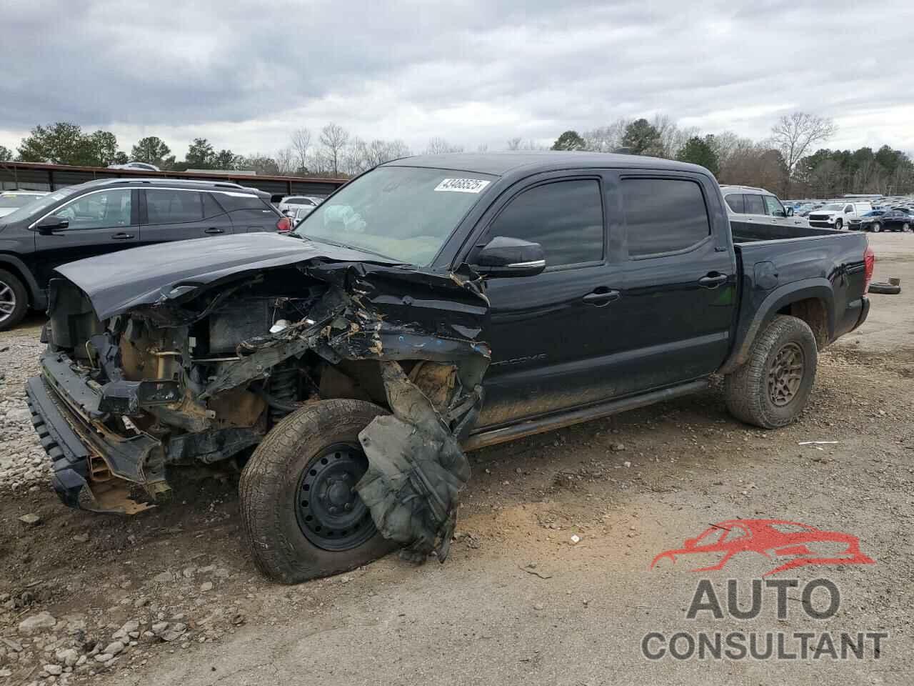 TOYOTA TACOMA 2023 - 3TYCZ5ANXPT113315