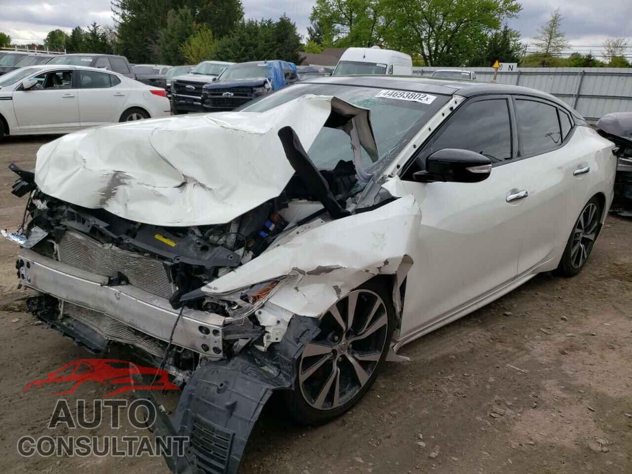 NISSAN MAXIMA 2017 - 1N4AA6AP1HC416185