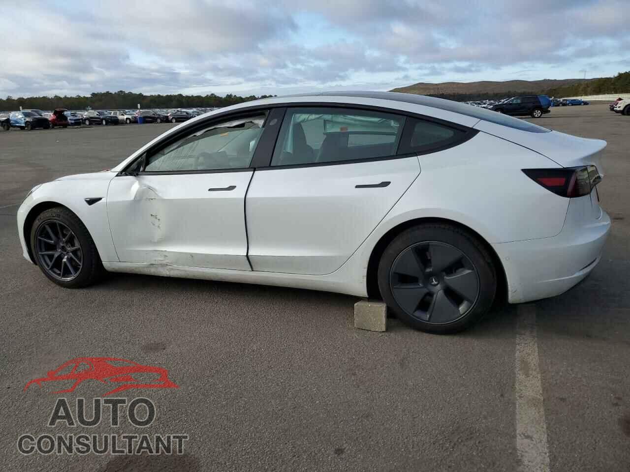 TESLA MODEL 3 2021 - 5YJ3E1EB0MF979024