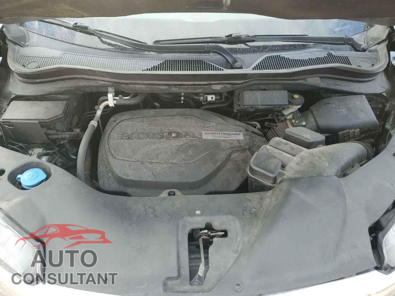 HONDA RIDGELINE 2019 - 5FPYK3F64KB013498