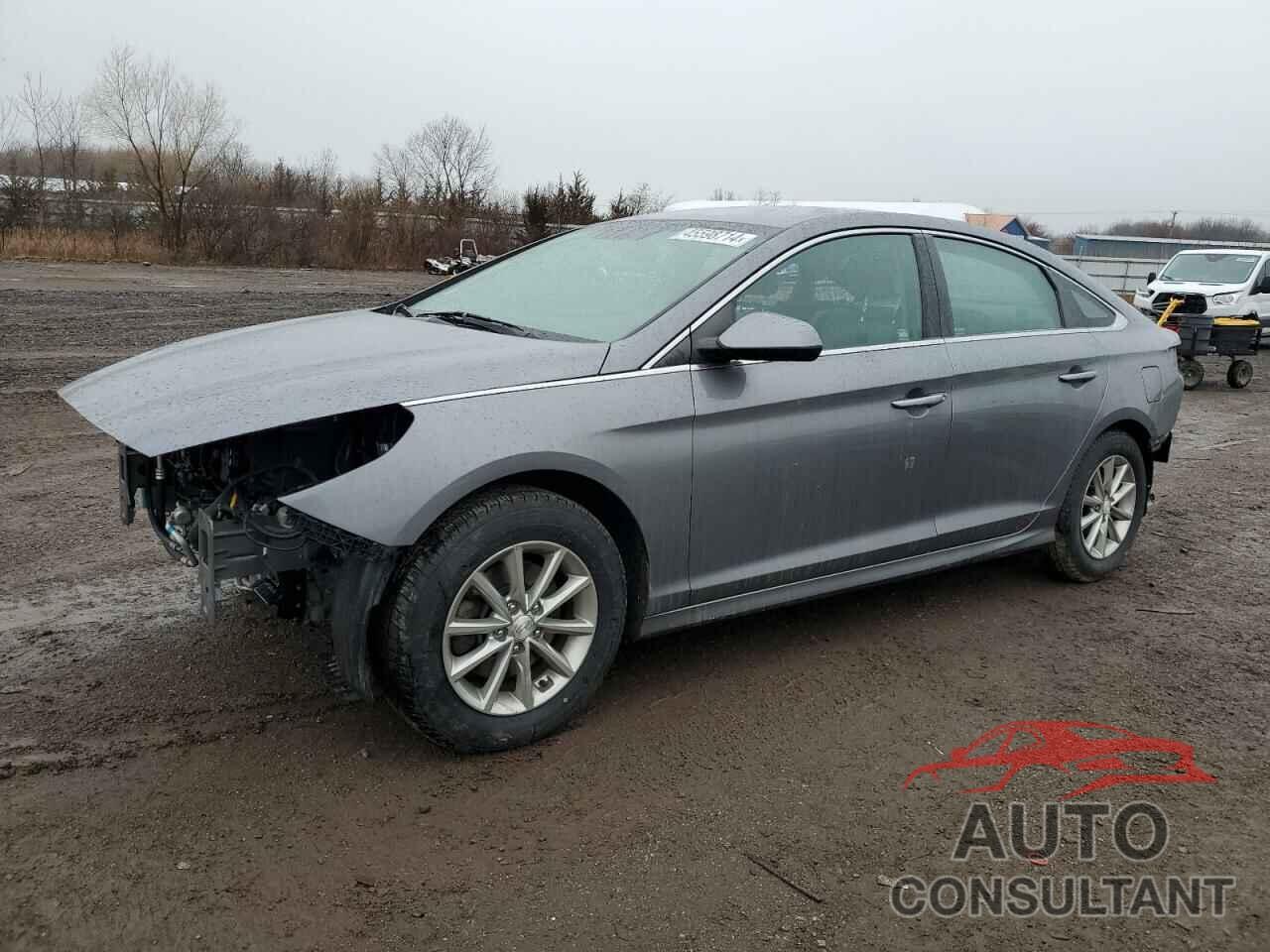 HYUNDAI SONATA 2019 - 5NPE24AF7KH754920
