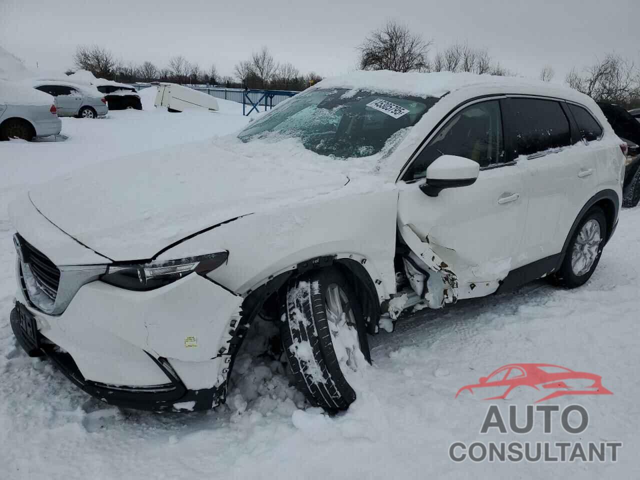 MAZDA CX-9 2017 - JM3TCABY9H0142119