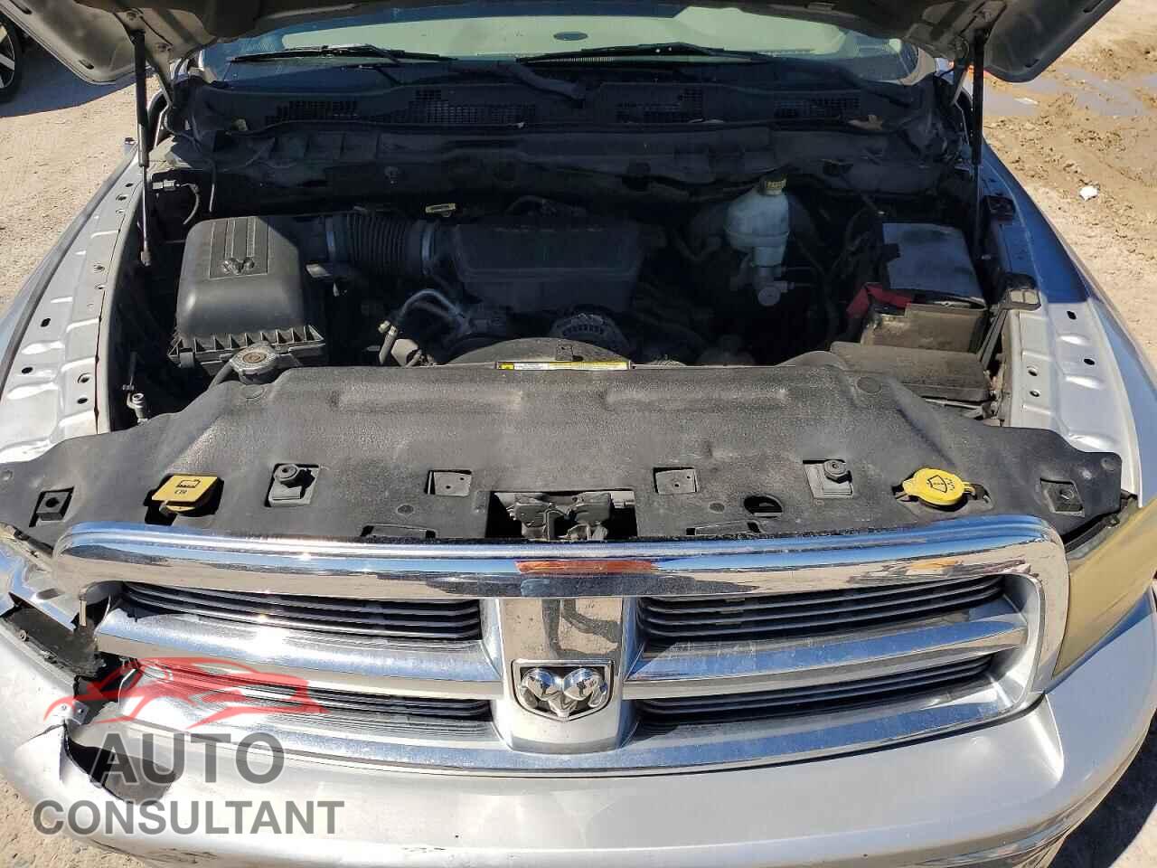 DODGE RAM 1500 2010 - 1D7RB1GP2AS141531