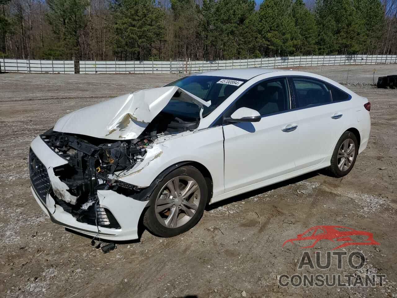 HYUNDAI SONATA 2019 - 5NPE34AF0KH731217