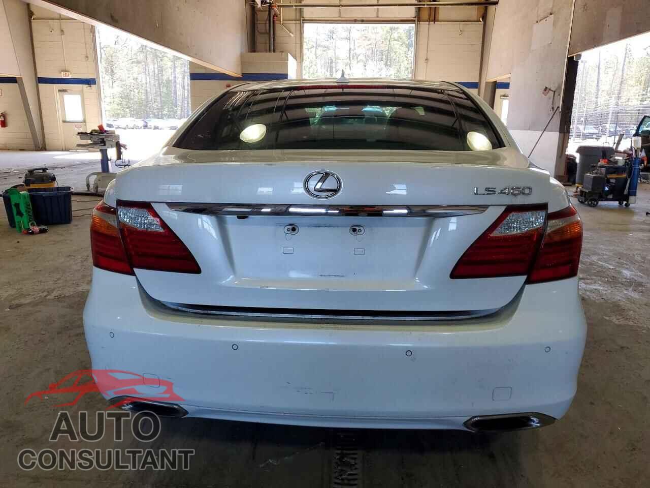 LEXUS LS500 2011 - JTHBL5EF5B5107639